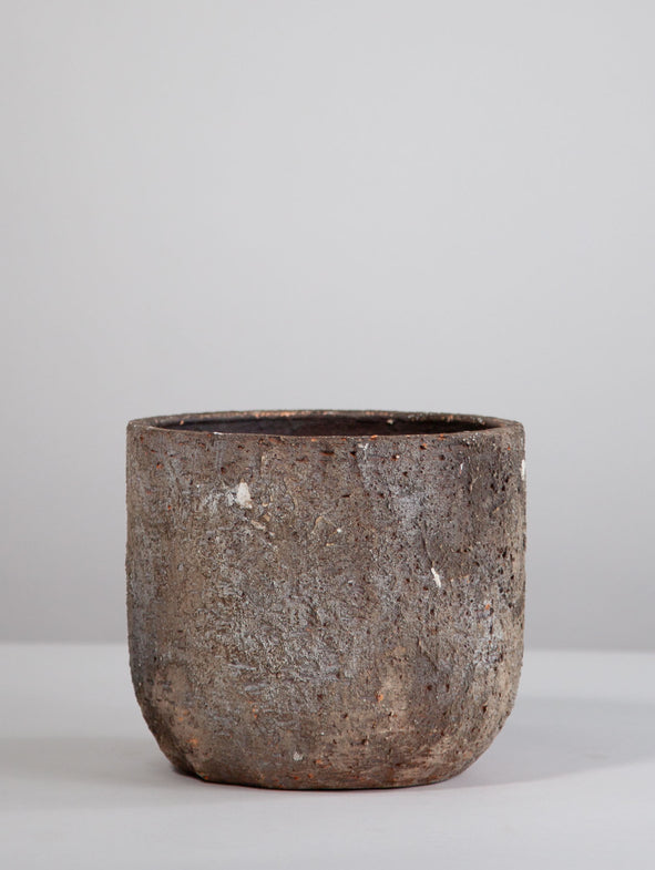 Albero - 20cm